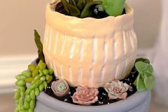 Plant-Cake-3-scaled