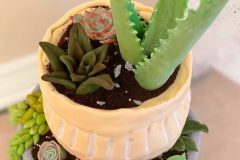 Plant-cake-1-scaled