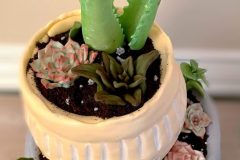 Plant-cake-2-scaled