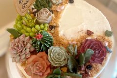 succulent-cake-white-2-scaled