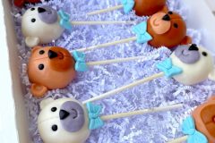 teddy-bear-cake-pops-1-scaled